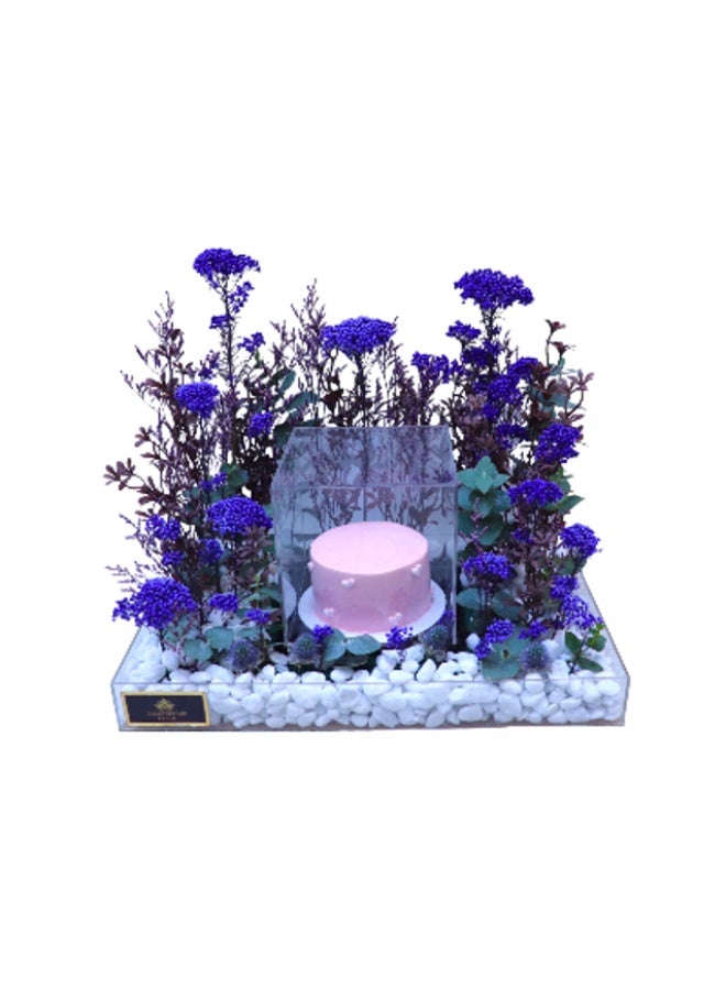 Generic Blue Cedum Design 499 