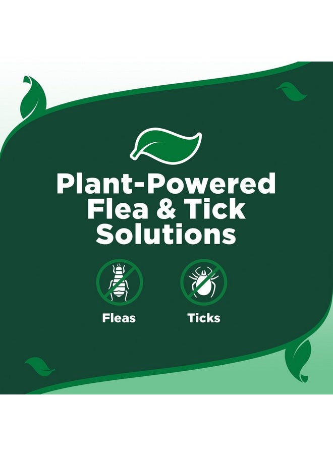 Vet's Best Vet's Best Flea and Tick Spot-on Drops - Topical Flea and Tick Prevention for Dogs - Plant-Based Formula - Certified Natural Oils for Small Dogs - 4 mo Supply  - Image 4