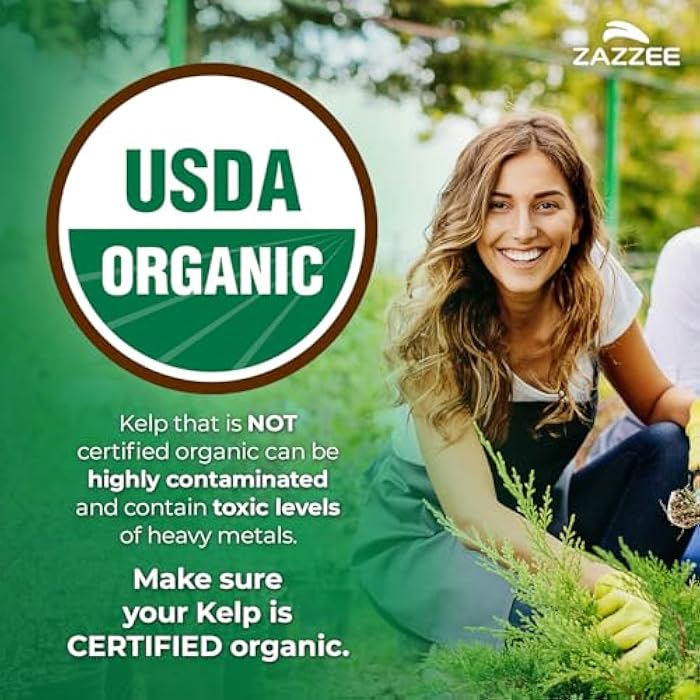 Zazzee USDA Organic Kelp Iodine 30:1 Extract, 300 mcg per Capsule, 120 Vegan Capsules, 4 Month Supply, Ocean-Harvested Norwegian Kelp, Standardized to 1% Iodine for Exact Dosage, Thyroid Support - Image 2