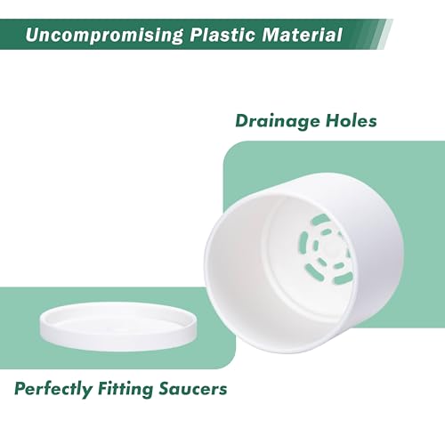 D'vine Dev 10 Pack Plastic Plant Pots for Plants, 6.5/6/5.5/5/4.5/4/3.5/3/2.5/2 Inch Indoor Planters Cylindrical Succulent Pot with Drainage Hole and Saucer, White, 74-S-A - Image 5