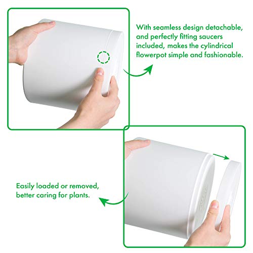D'vine Dev 10 Pack Plastic Plant Pots for Plants, 6.5/6/5.5/5/4.5/4/3.5/3/2.5/2 Inch Indoor Planters Cylindrical Succulent Pot with Drainage Hole and Saucer, White, 74-S-A - Image 4