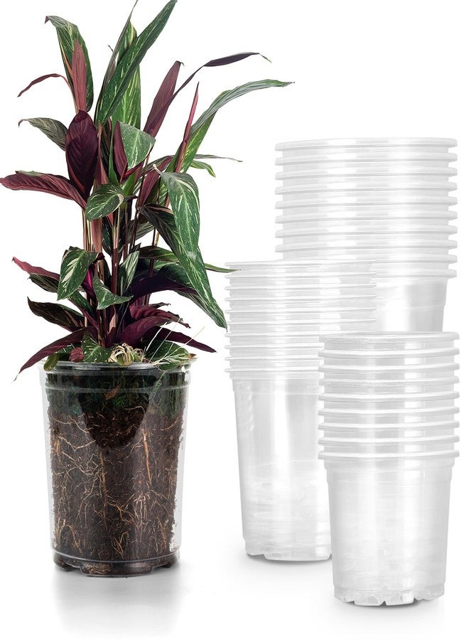 RAOOKIF 30 Pack 5/6/7 Inch Reinforced Clear Nursery Pots with Drainage Holes, Clear Nursery pots Variety Pack, Transparent Plastic Plant Pots for Seedlings, Clear Seed Starters - Image 1