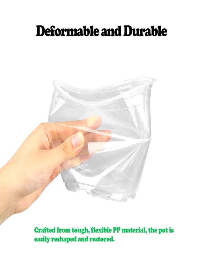 RAOOKIF 30 Pack 5/6/7 Inch Reinforced Clear Nursery Pots with Drainage Holes, Clear Nursery pots Variety Pack, Transparent Plastic Plant Pots for Seedlings, Clear Seed Starters - Image 4