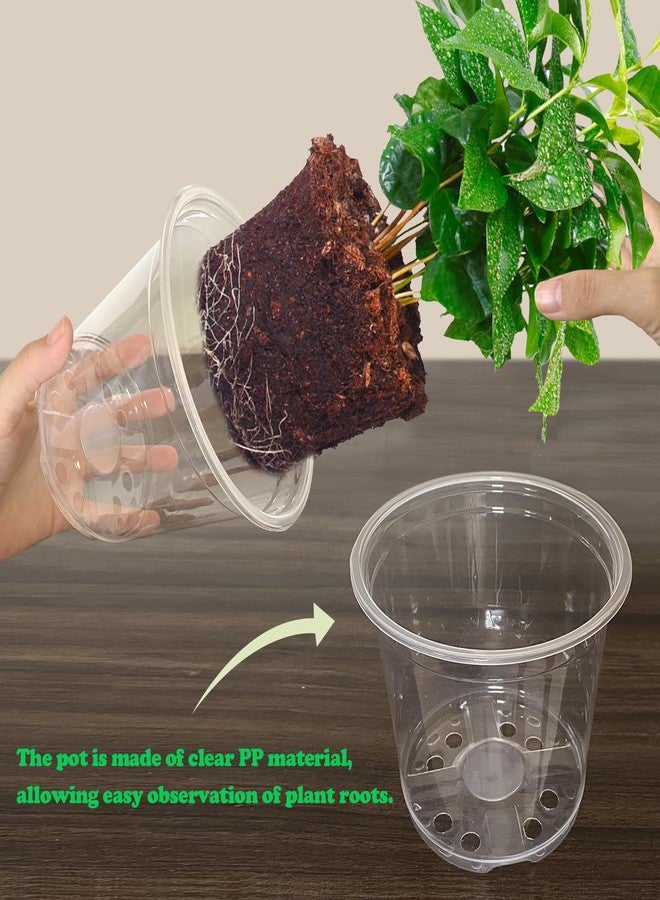 RAOOKIF 30 Pack 5/6/7 Inch Reinforced Clear Nursery Pots with Drainage Holes, Clear Nursery pots Variety Pack, Transparent Plastic Plant Pots for Seedlings, Clear Seed Starters - Image 3