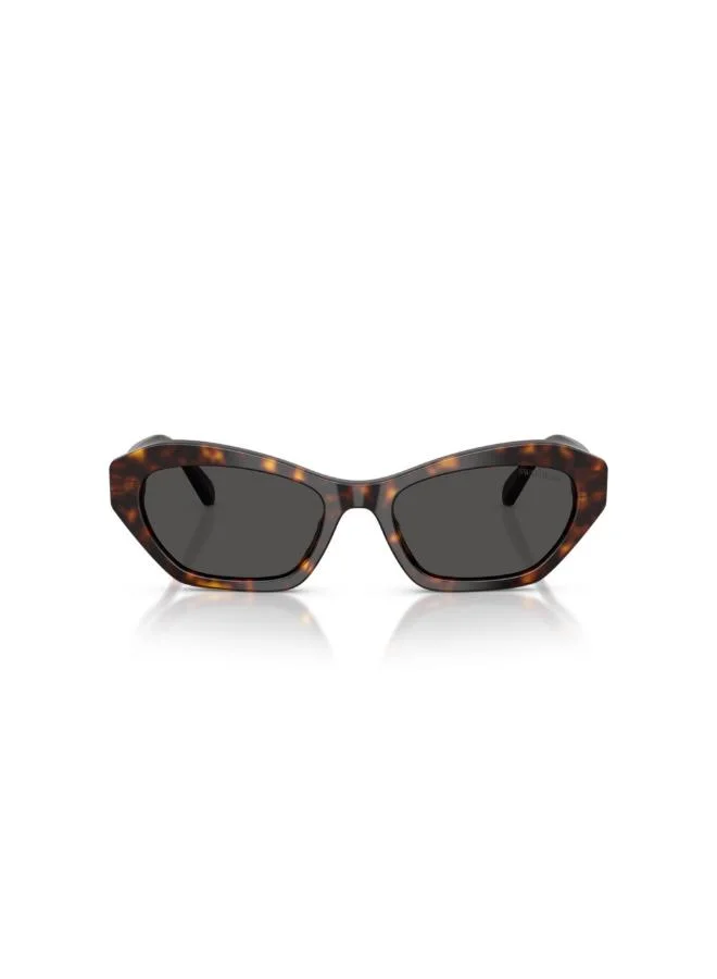 SWAROVSKI  0SK6048 Cat Eye sunglasses for Women | Best Price UAE