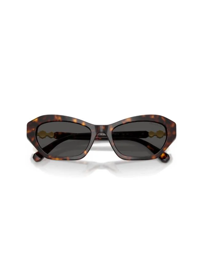 SWAROVSKI  0SK6048 Cat Eye sunglasses for Women | Best Price UAE