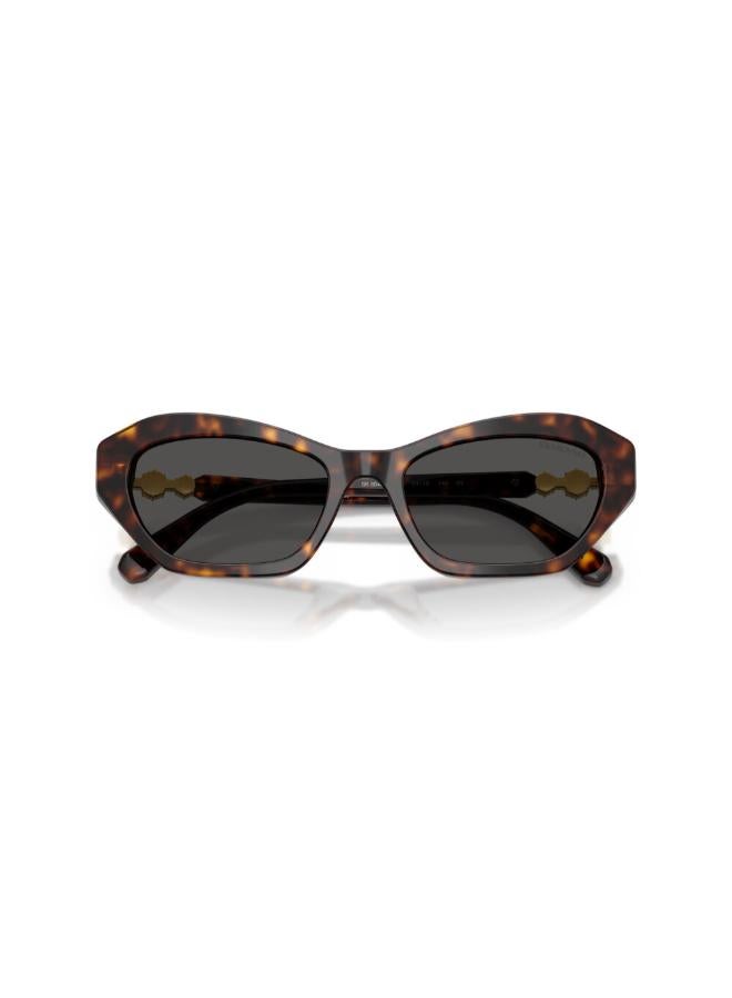 SWAROVSKI 0SK6048 Cat Eye sunglasses - Image 5