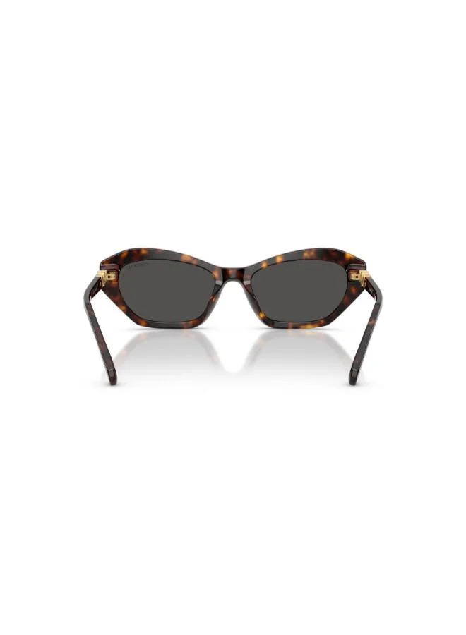 SWAROVSKI  0SK6048 Cat Eye sunglasses for Women | Best Price UAE