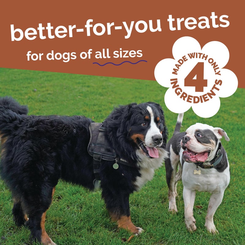 Fruitables Whole Jerky Bites, Healthy Dog Treats, Puppy Essentials, Jerky Dog Treats, Made in the USA, No Artificial Ingredients, Grilled Bison & Apple Flavor, 5oz - Image 5