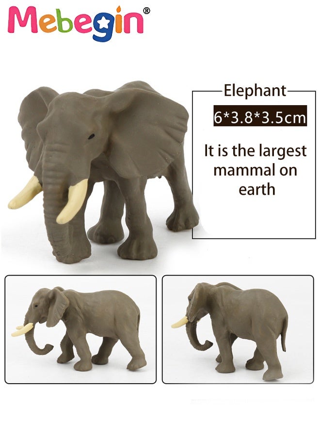 MEBEGIN 12PCS Realistic Wild Animals Figures with 12 Cards, Early Educational Toy for Kids, Fun Animal Model Toys, Parent-child Interactive Toy, Easy to Organize and Carry, Ideal Gift for Kids Aged 3+ - Image 5