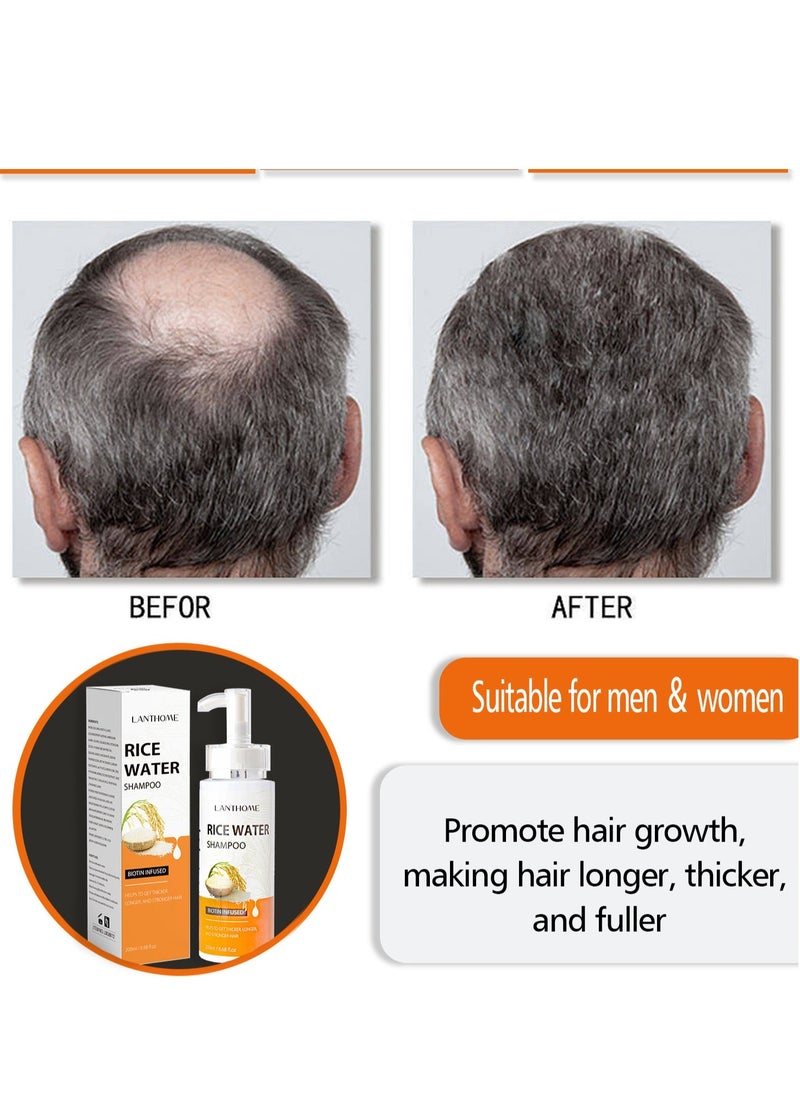 Lanthome - Rice Water Shampoo, Hair Regeneration Shampoo, Rice Essence Shampoo, Can Prevent Hair Loss, Nourish and Repair Damaged Hair, Thin Hair and Baldness, And Promote Hair Growth 200ml - Image 1