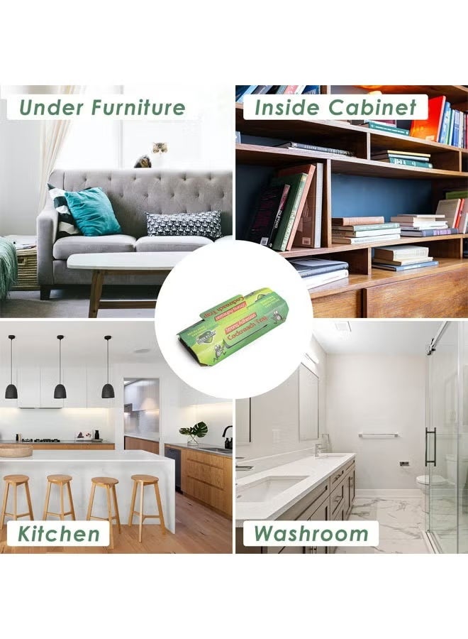 green killer صندوق الصراصير، مصيدة الصراصير المنزلية، رقعة الصراصير، 20 قطعة - Image 4