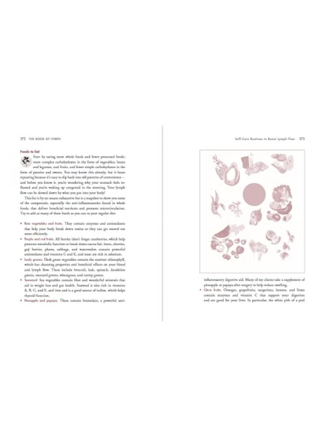 null - The Book of Lymph: Self-Care Practices to Enhance Immunity, Health, and Beauty - Image 1