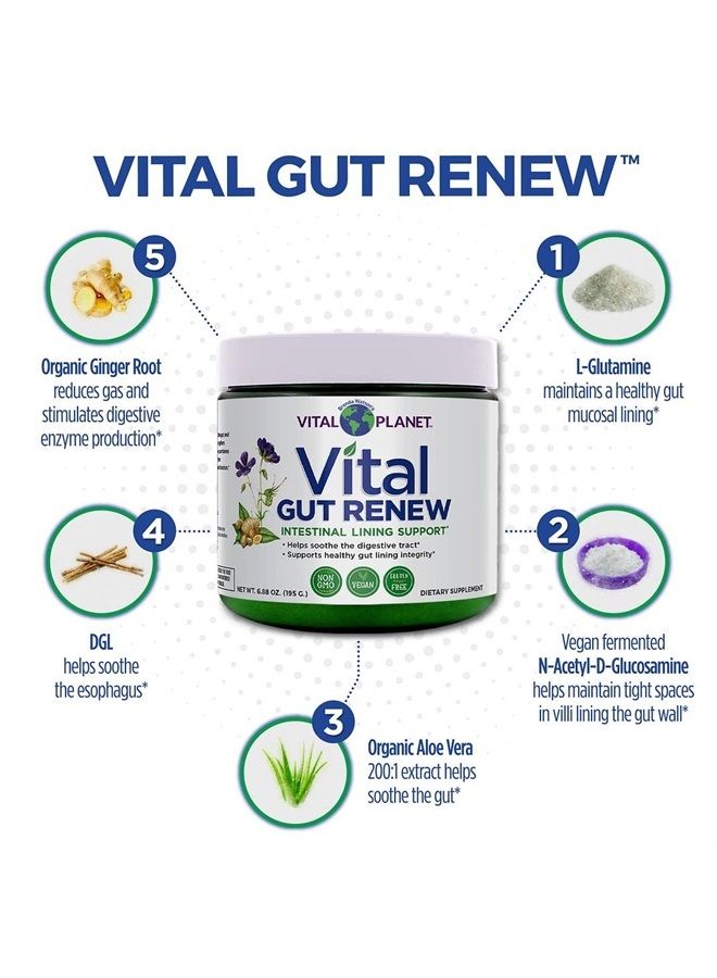 Vital Planet مكمل مسحوق فيتال غوت رينيو المصنوع من L-جلوتامين، جذر الزنجبيل، جذر العرقسوس والألوة فيرا العضوية للمساعدة في إصلاح بطانة الأمعاء والأمعاء المتسربة، 6000 ملغ 6.88 أونصة - Image 5