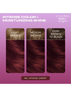 Bold & Bright Permanent Hair Dye R6 Intense Cherry Hair Color Pack Of 1 - pzsku/ZE5DE76AEF4B560F6B62EZ/45/_/1719337894/6d941363-5fd6-44e9-aa02-41e5be6cfb4b