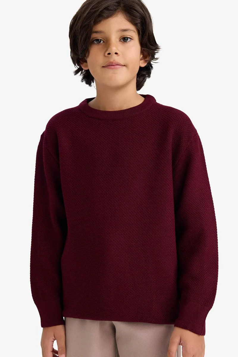 ديفاكتو Boy Regular Fit Crew Neck Pullover