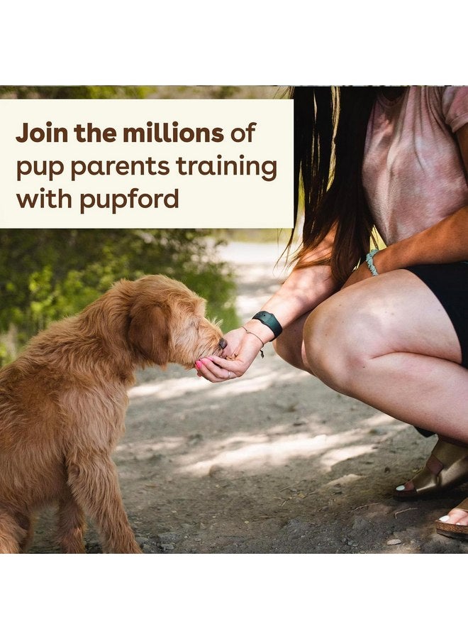 Pupford Freeze Dried Training Treats for Dogs & Puppies, 225+ Two Ingredient Bites (Salmon, 2 oz) - Image 3