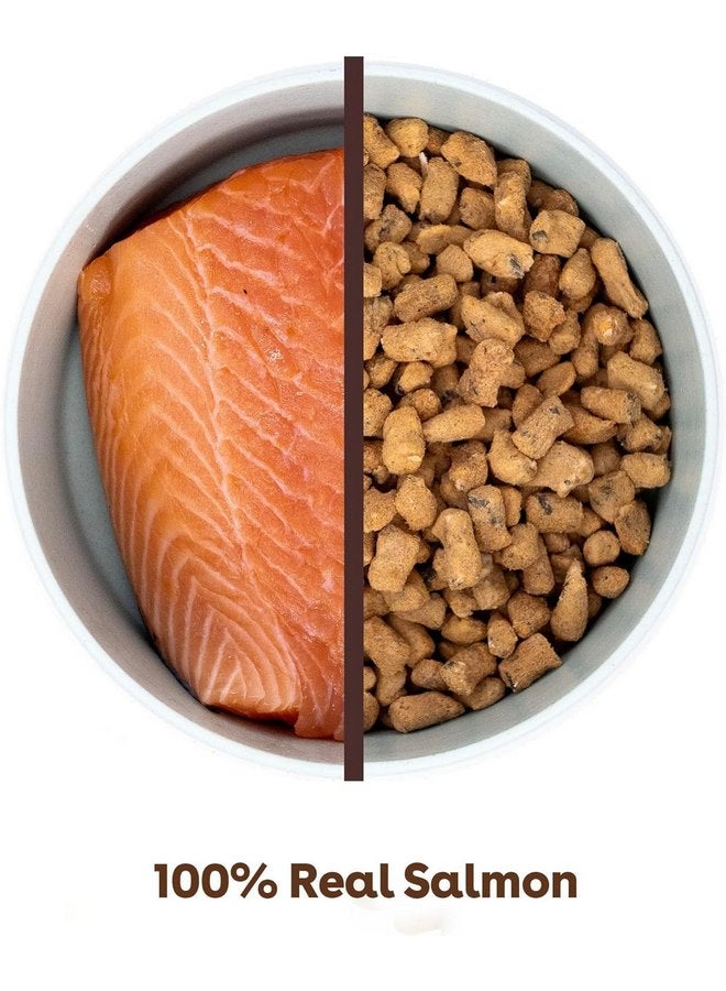Pupford Freeze Dried Training Treats for Dogs & Puppies, 225+ Two Ingredient Bites (Salmon, 2 oz) - Image 2