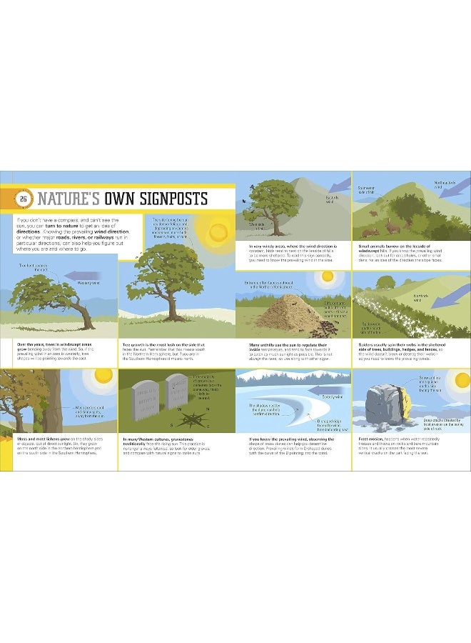 Survival for Beginners: A step-by-step guide to camping and outdoor skills  - Image 5