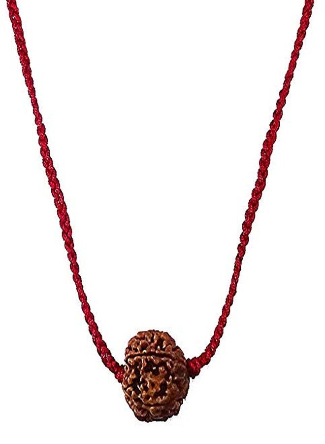 JINALI GEMS خرز رودراكشا نيبالي 5 موكي/وجه طبيعي 100% من جينالي جيمز - Image 4