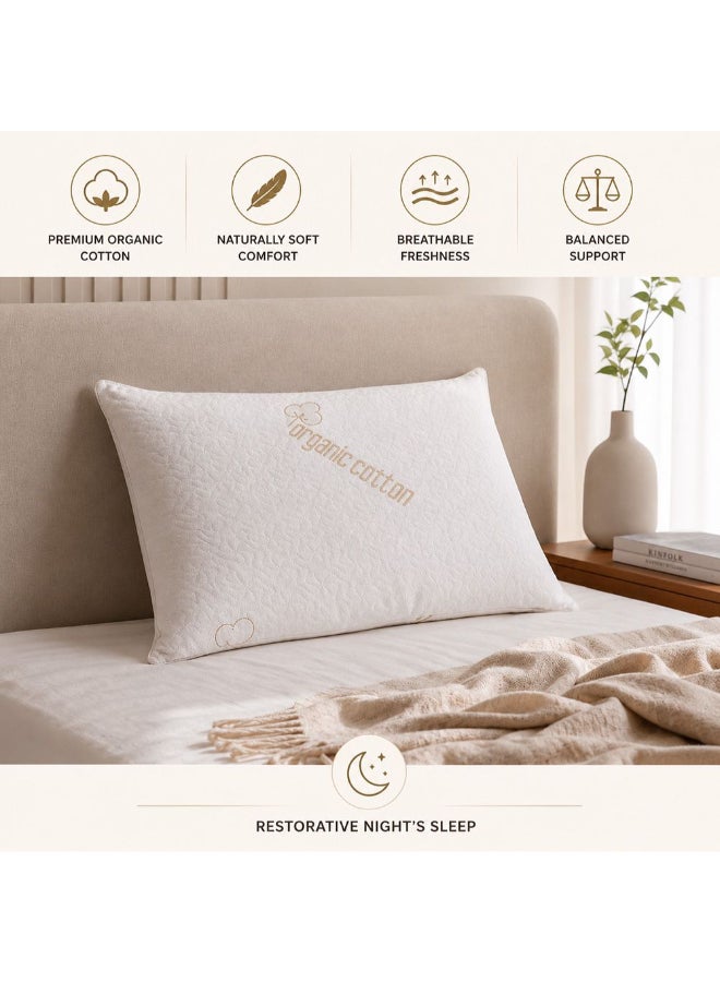 DANUBE HOME Organic Cotton Pillow - Beige, 50x70CM, For Sleep Support - Image 5