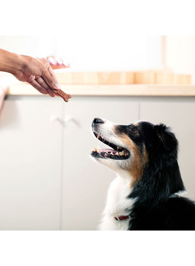 MILK-BONE Soft & Chewy Dog Treats, Chicken Recipe With Chicken Breast, 25 Ounce Container - Image 4