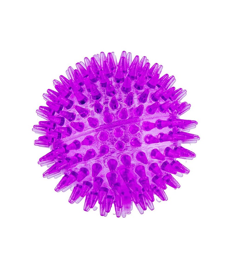 Daiso Noise Making Pet Toy Purple – Interactive Squeaky Toy for Dogs & Pets - Image 1
