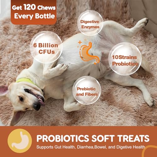 ZEBORA Probiotics for Dogs, Dog Probiotics for Digestive Health, Plus Pumpkin and Fish Oil, for Gut & Itchy, 120 Soft Chews - Image 3