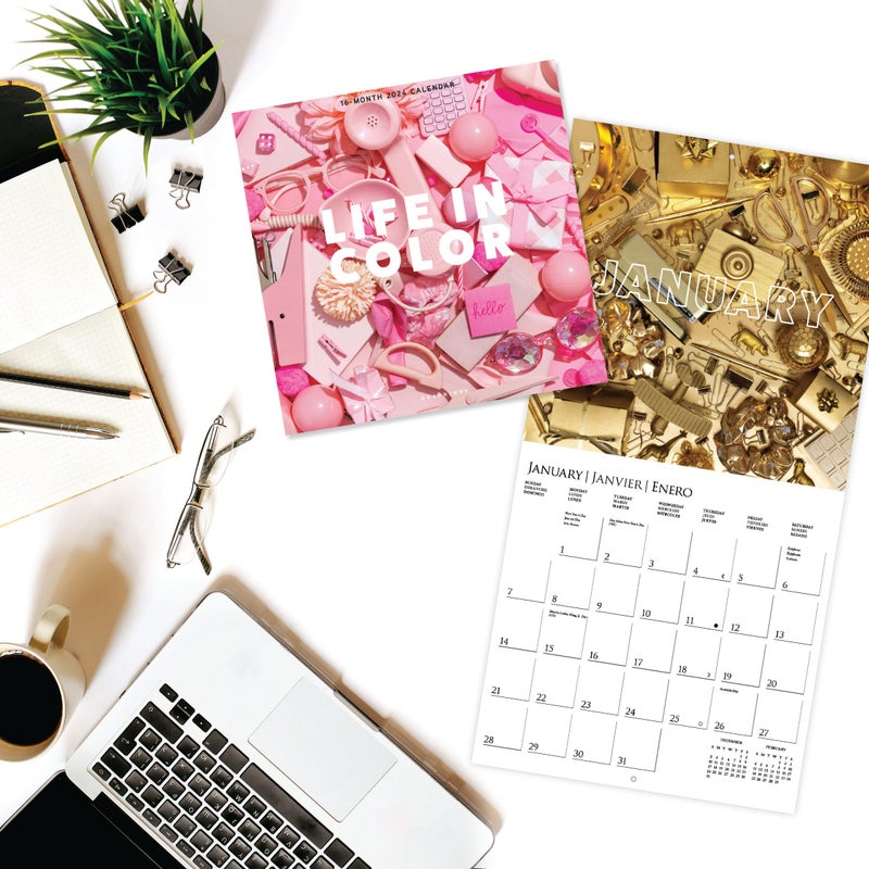 Graphique 2024 Life in Color Wall Calendar | 12â€ x 12â€ | Thick Paper | Home & Office Organizer | Large Monthly Grid | 3 Languages & Marked Holidays | 4 Month Preview Page for 2025 - Image 2