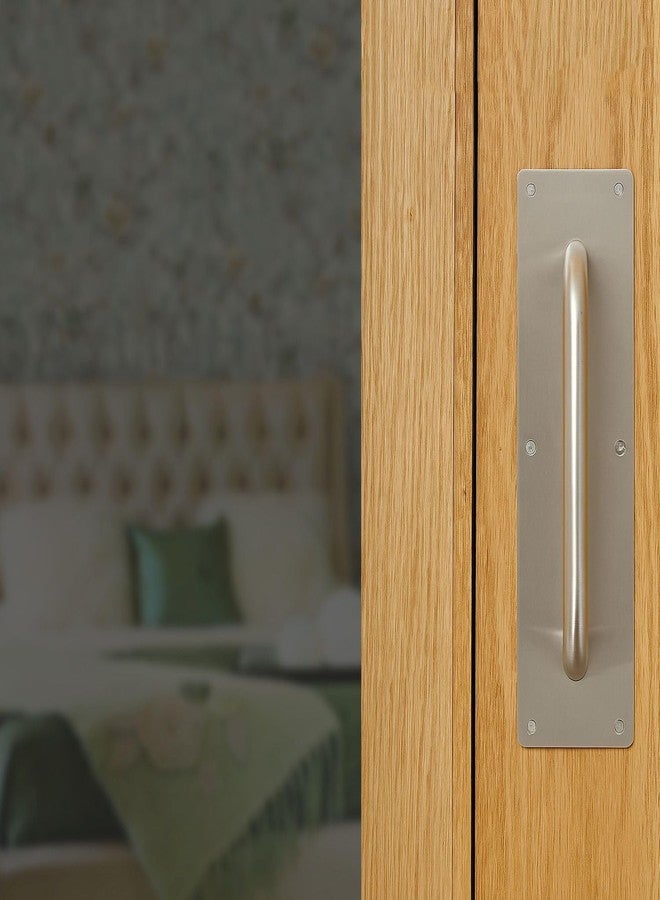 Hettich HPP 1 Stainless Steel Door Handle, Pull Plate Door Handle with Screws, 1 Set (300 x 100 mm Size), for Hotels, Restaurants, or Other Public Places - Image 1