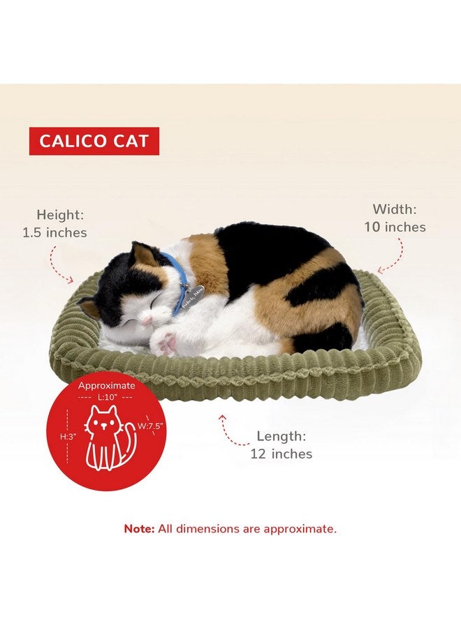 بيرفيكت بيتز Perfect Petzzz - قطة كاليكو أصلية من Petzzz، لعبة تفاعلية محشوة واقعية تشبه الحياة، كلب مصاحب بفراء صناعي مصنوع يدويًا بنسبة 100% - Image 3