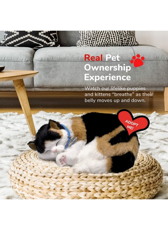 بيرفيكت بيتز Perfect Petzzz - قطة كاليكو أصلية من Petzzz، لعبة تفاعلية محشوة واقعية تشبه الحياة، كلب مصاحب بفراء صناعي مصنوع يدويًا بنسبة 100% - Image 5