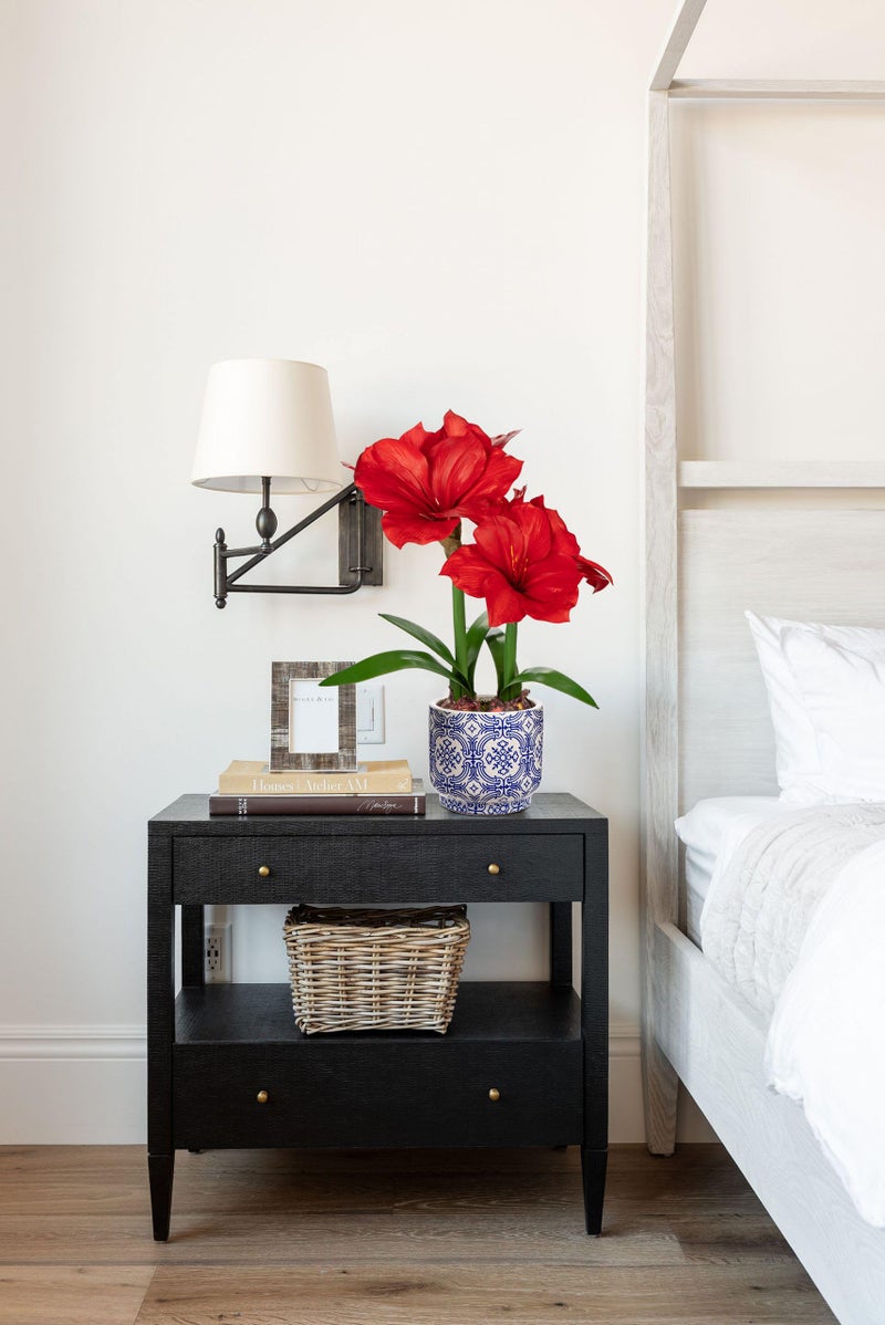 Briful Red Amaryllis Artificial Flowers in Blue Ceramic Pot 18.1" Faux Amaryllis Flower Arrangement with Decorative Bulbs Moss for Home Office Bathroom Table Shelf DÃ©cor - Image 5