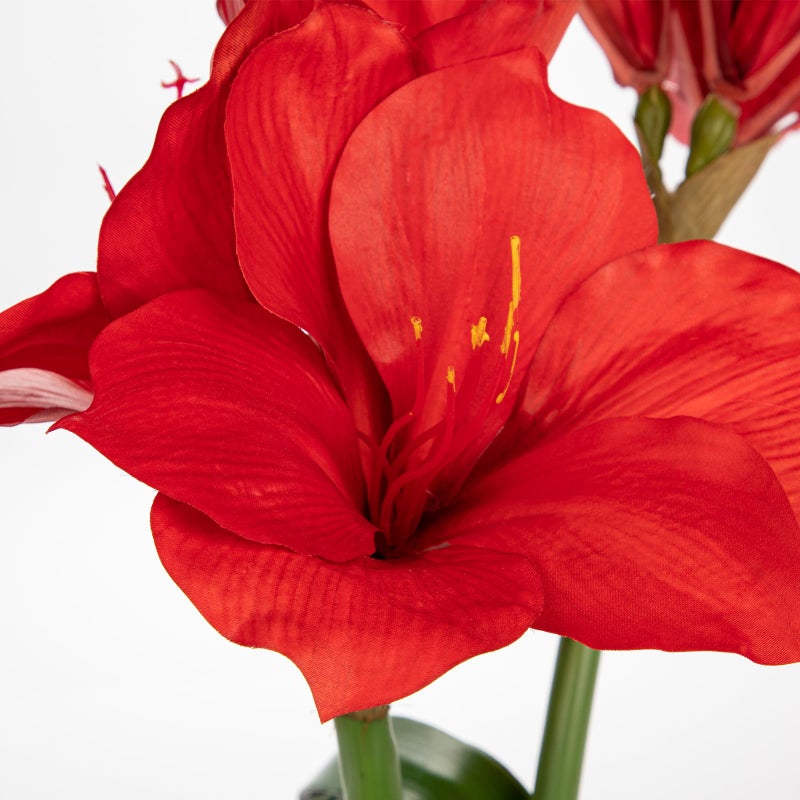 Briful Red Amaryllis Artificial Flowers in Blue Ceramic Pot 18.1" Faux Amaryllis Flower Arrangement with Decorative Bulbs Moss for Home Office Bathroom Table Shelf DÃ©cor - Image 4