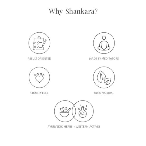 Shankara Unisex Timeless Lip Oil Roll-On for Glossy, Soft Lips with Essential Oils for Hydration, Nourishment & Healing – Travel Size, Sun Protection, No Fragrance, Brightening (4ml) - Image 5