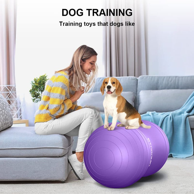STOROMO Anti-Burst Peanut Ball â€“ High Weight Capacity Exercise Ball for Birth, Yoga, Pilates & Physical Therapy, Eco-Friendly PVC Fitness Ball for Kids & Adults, Includes Pump (23.6x11.8 inch (60x30cm)ï¼ŒPink) - Image 5