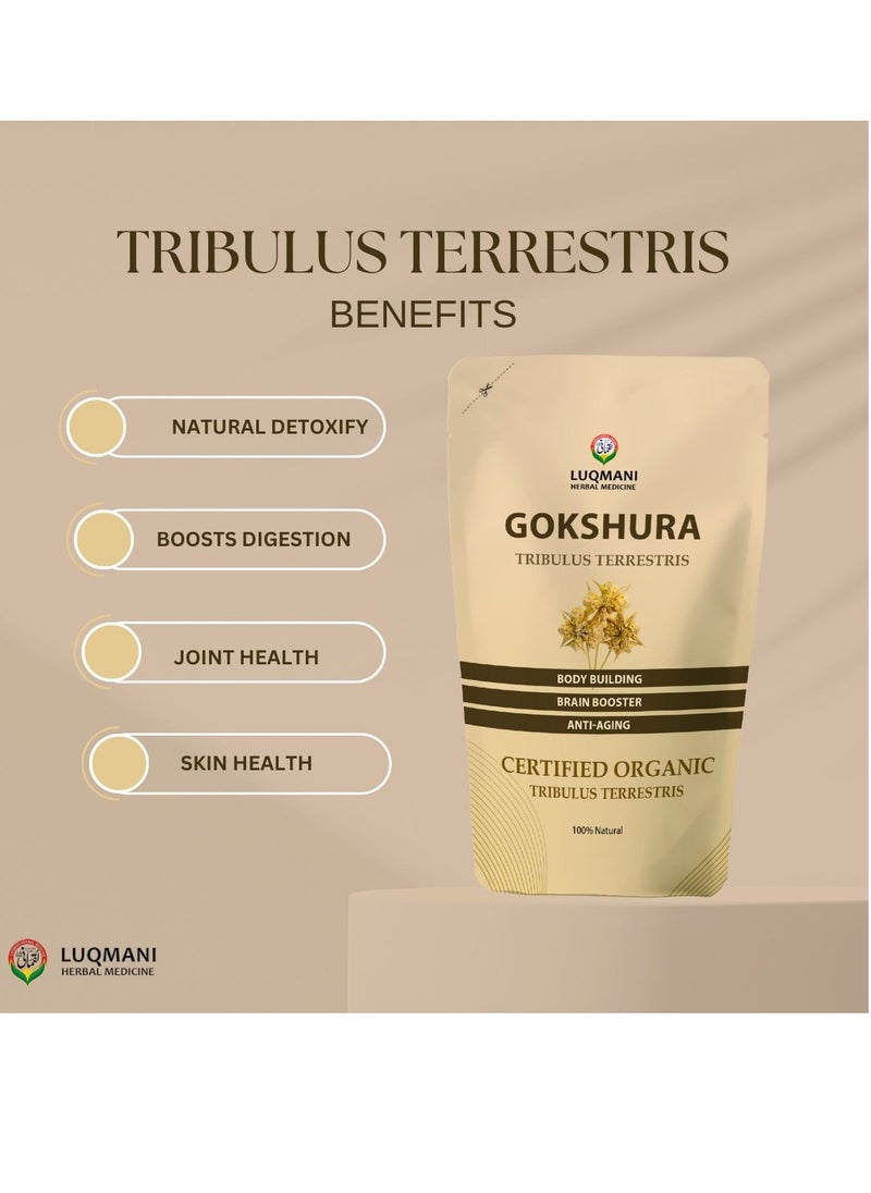 Luqmani Herbs - Tribulus - Image 1