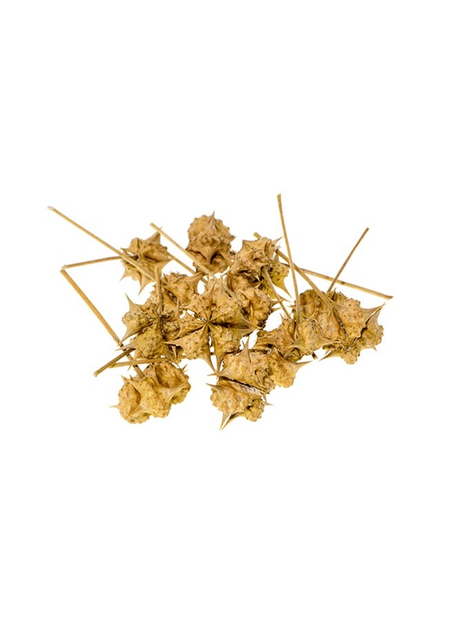 Luqmani Herbs - Tribulus - Image 1