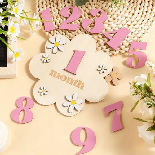 TecoKart® Pink Baby Photoshoot Props, Baby Monthly Photoshoot Props for 1-12 Months, Milestone Cards for New Born Milestone Memories - Image 4