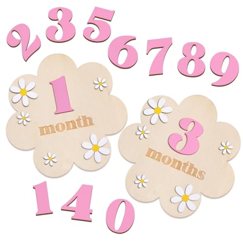 TecoKart® Pink Baby Photoshoot Props, Baby Monthly Photoshoot Props for 1-12 Months, Milestone Cards for New Born Milestone Memories - Image 1