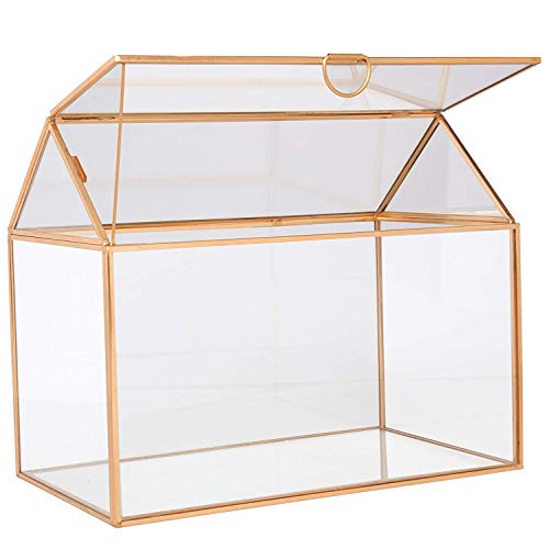 DECO D'Eco Glass House Plant Terrarium (10"x6"x8")- Tabletop Gold Geometric Planter Terrarium for Succulents, Air Plants, Moss - Summer Home, Garden Office & Wedding Botanical Decor - Gift for Plant Lovers - Image 3