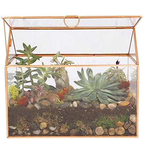 DECO D'Eco Glass House Plant Terrarium (10"x6"x8")- Tabletop Gold Geometric Planter Terrarium for Succulents, Air Plants, Moss - Summer Home, Garden Office & Wedding Botanical Decor - Gift for Plant Lovers - Image 5