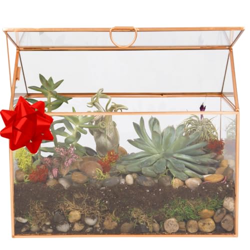 DECO D'Eco Glass House Plant Terrarium (10"x6"x8")- Tabletop Gold Geometric Planter Terrarium for Succulents, Air Plants, Moss - Summer Home, Garden Office & Wedding Botanical Decor - Gift for Plant Lovers - Image 4