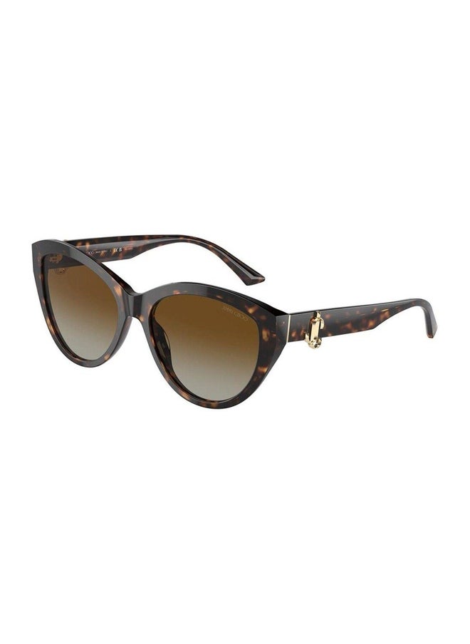 Jimmy Choo Woman PHANTOS  SUNGLASSES- JC 5007 - lense size:55mm - HAVANA  - Image 1