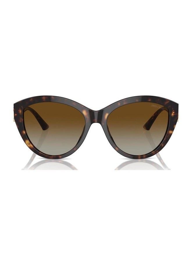 Jimmy Choo Woman PHANTOS  SUNGLASSES- JC 5007 - lense size:55mm - HAVANA  - Image 2