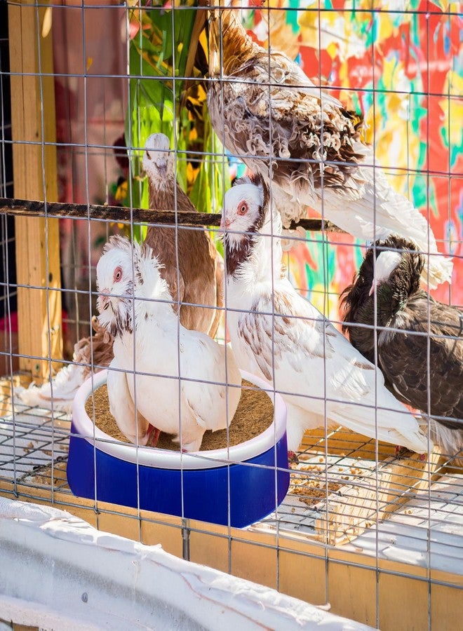 Eorbow 15 Packs Pigeon Nest Pads, Bird Breeding Mat for Chicken, Natural Coconut Fiber Bird Egg Mat, Nesting Bowl Box Pad for Parakeet Chicken, Pigeon Hatching Bedding Accessories - Image 5