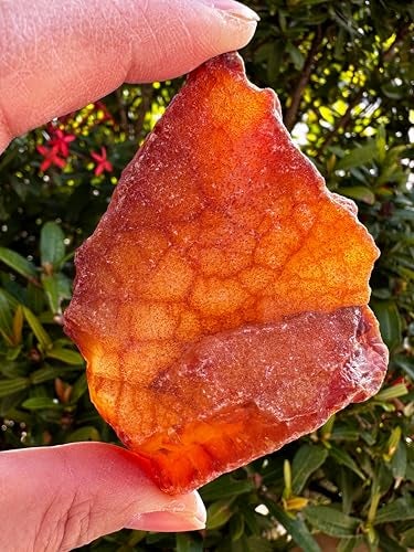 GAF TREASURES Large Raw Carnelian, Natural Carnelian Stone, Natural Rough Carnelian, Carnelian Rough (Carnelian, 1 Piece) - Image 2