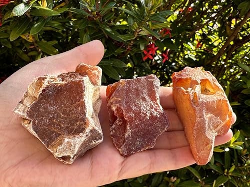 GAF TREASURES Large Raw Carnelian, Natural Carnelian Stone, Natural Rough Carnelian, Carnelian Rough (Carnelian, 1 Piece) - Image 3