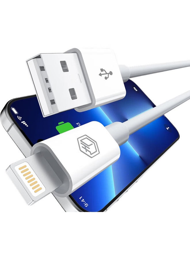 JD.com Jd Jingzao Apple Fast Charging Data Cable, Two-Pack Charging Cord, Compatible With Iphone 14/13/12/11 Pro Max/Xs/Ipad Pro/Air 2/Mini Tablet, Car Charger, White - Image 1
