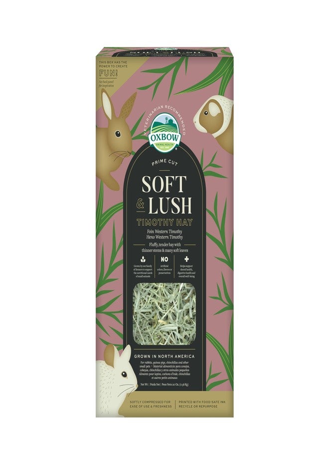 أوكسبو تبن تيموثي ناعم وفاخر من أوكس بو برايم كت، تبن فاخر للأرانب وخنازير غينيا، غذاء غني بالألياف للحيوانات الأليفة الصغيرة مثل الأرانب وخنازير غينيا والشنشيلات، يدعم صحة الأسنان، عبوة 20 أونصة - Image 1